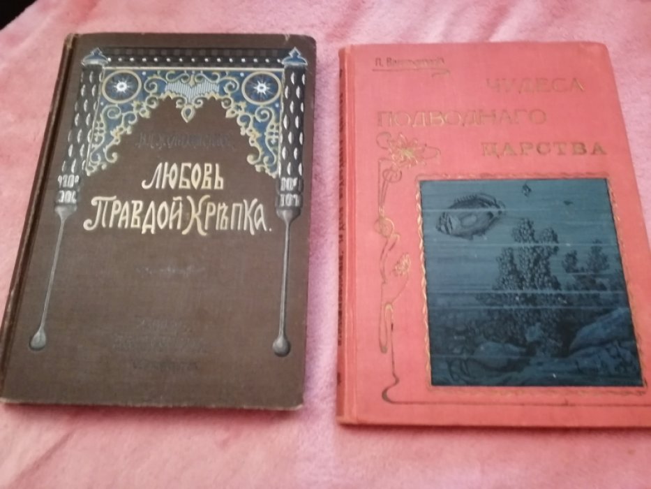 Желиховская В. П. Любовь правдой крепка.