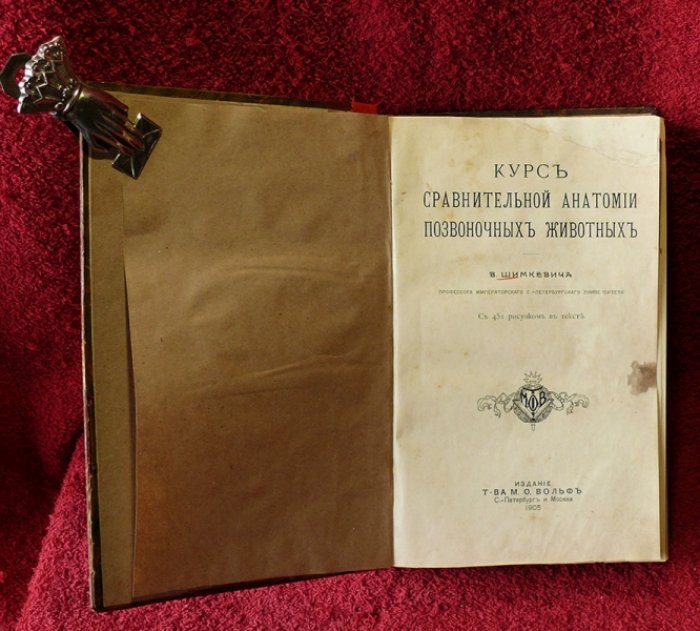 Шимкевич В. Курс сравнительной анатомии позвоночных животных.
