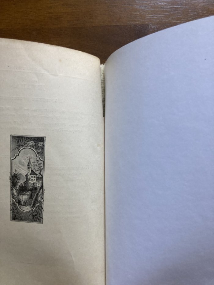Берте Эли. Маленькие школьницы пяти частей света.