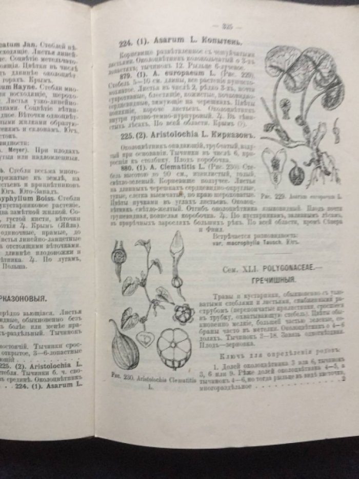 Федченко Б.А., Флеров А.О. Флора Европейской России. Иллюстрированный определитель дикорастущих растений Европейской России и Крыма. В 3-х част. Часть 2. Первичнопокровные. С 387 рис. В тексте.