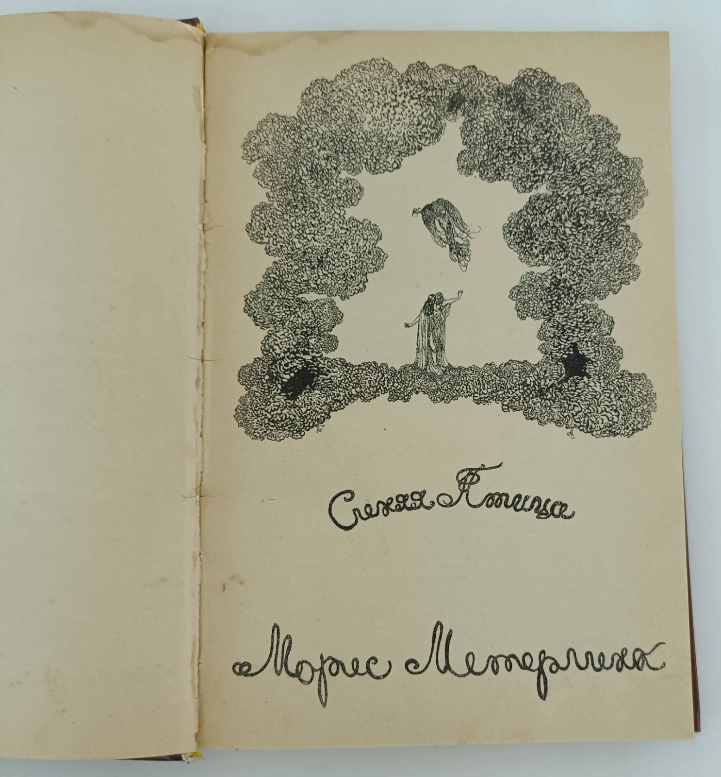 Литературно-художественные альманахи издательства “Шиповник”. Книга шестая.