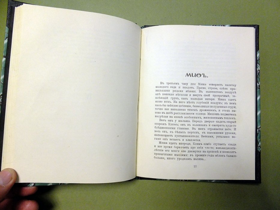 Зайцев Борис. Рассказы. Книга первая.