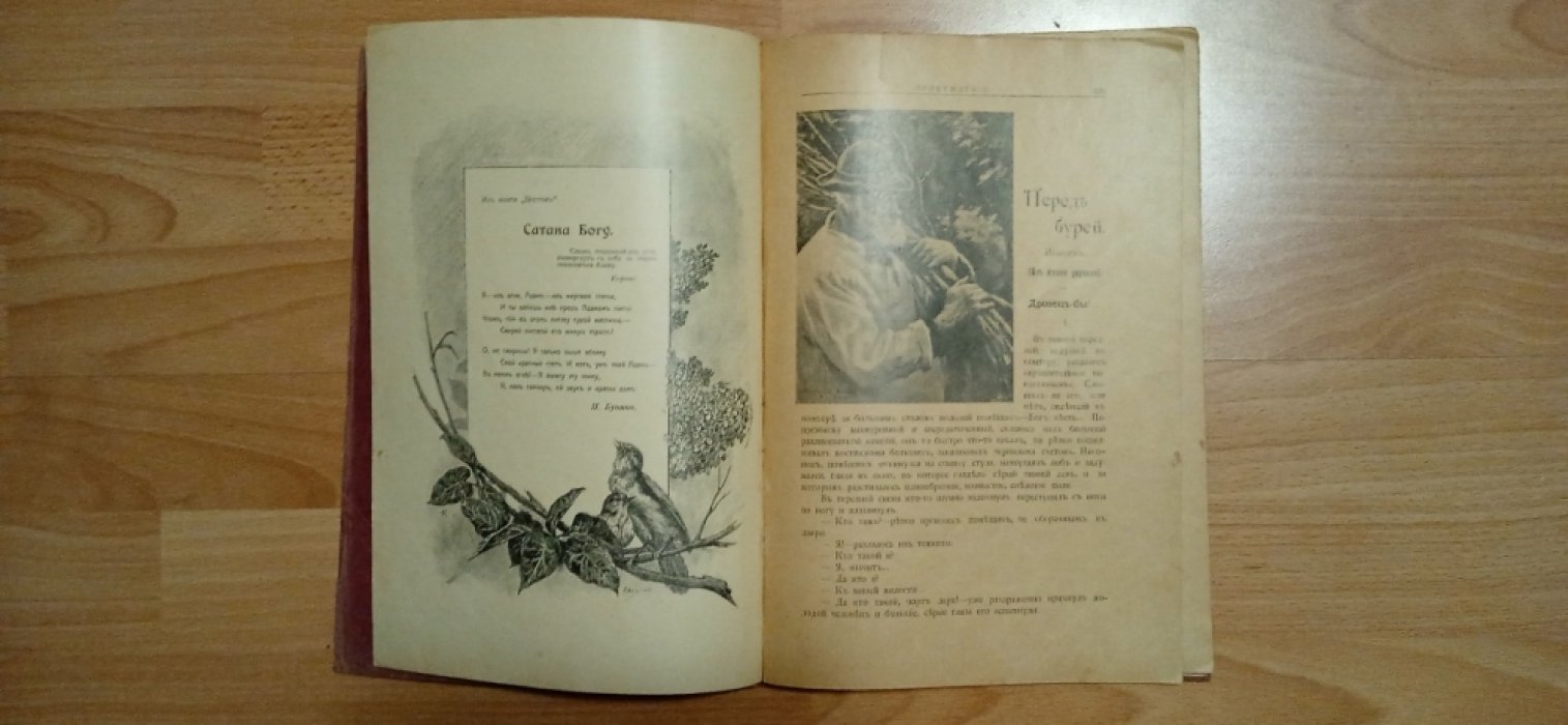 Пробуждение. № 9. 1906 г
