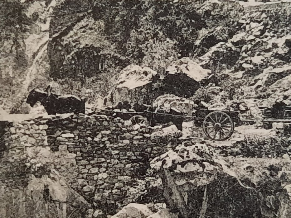 Открытка - В.О.Д. Сторожевой пост царицы Тамары. Ч/б, чистая, Российская Империя