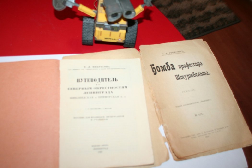 Рубакин Н. Бомба профессора Штурмвельдта.