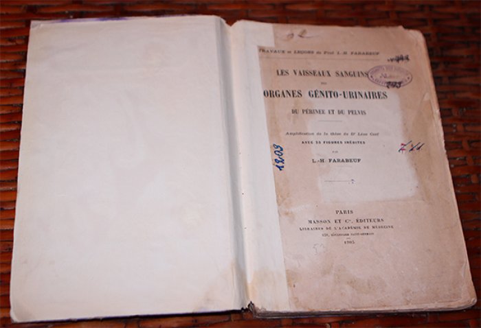 Prof. du L.-H. Farabeuf. Les Vaisseaux sanguins Organes Genito-Urinaires du Perinee et du Pervis.