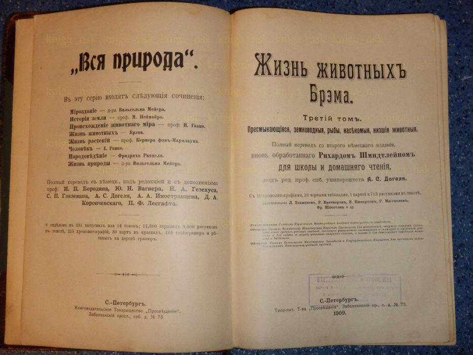 Брэм. Жизнь животных Брэма. Том 3. Пресмыкающиеся, земноводные, рыбы, насекомые, низшие животные.