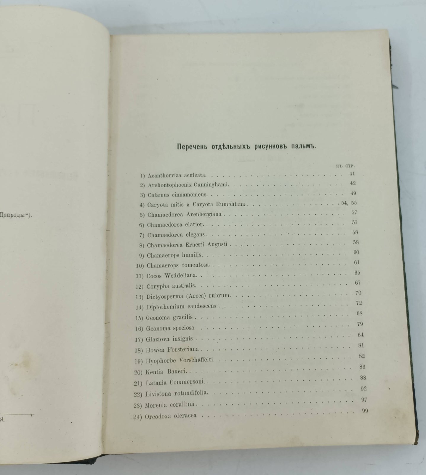 Вишняков В.А. Пальмы. Выращивание и содержание пальм в жилых комнатах.