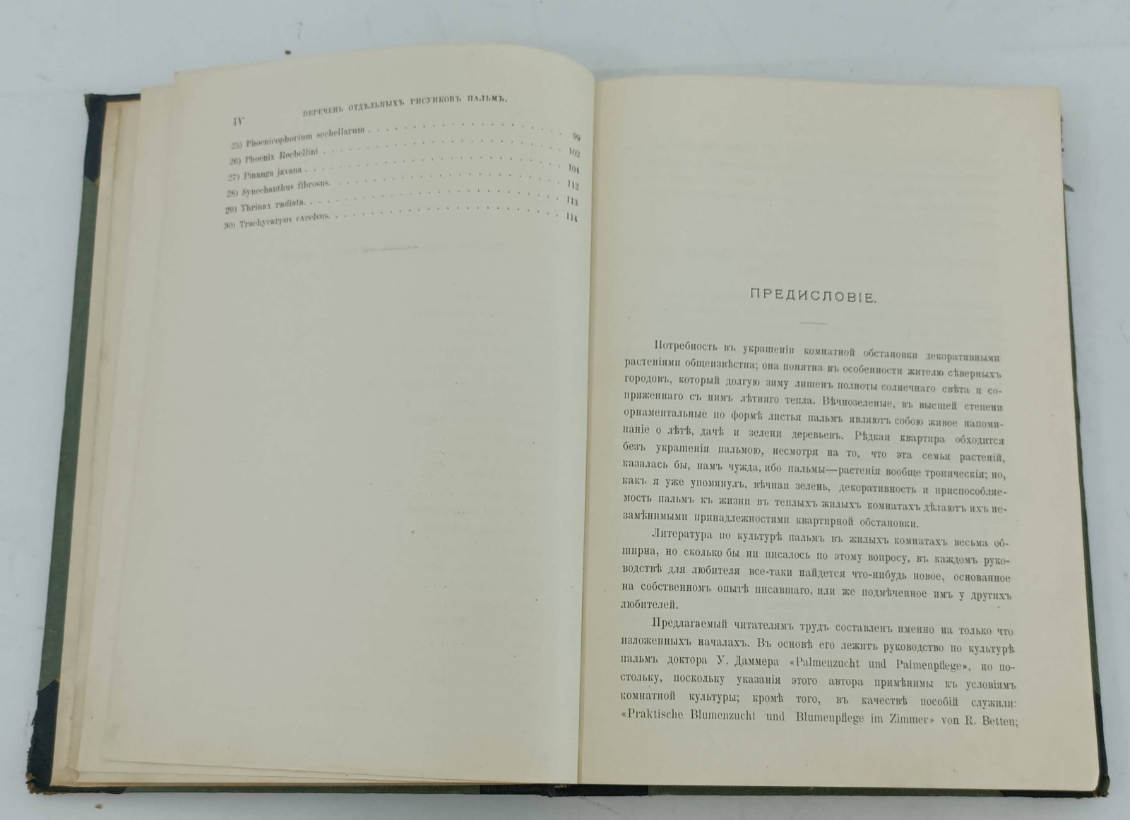 Вишняков В.А. Пальмы. Выращивание и содержание пальм в жилых комнатах.