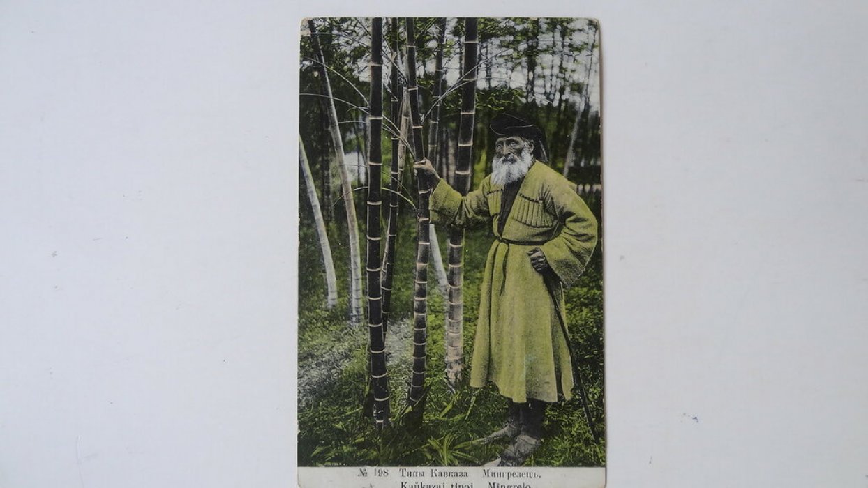 Открытка. Типы Кавказа. Мингрелец. №198