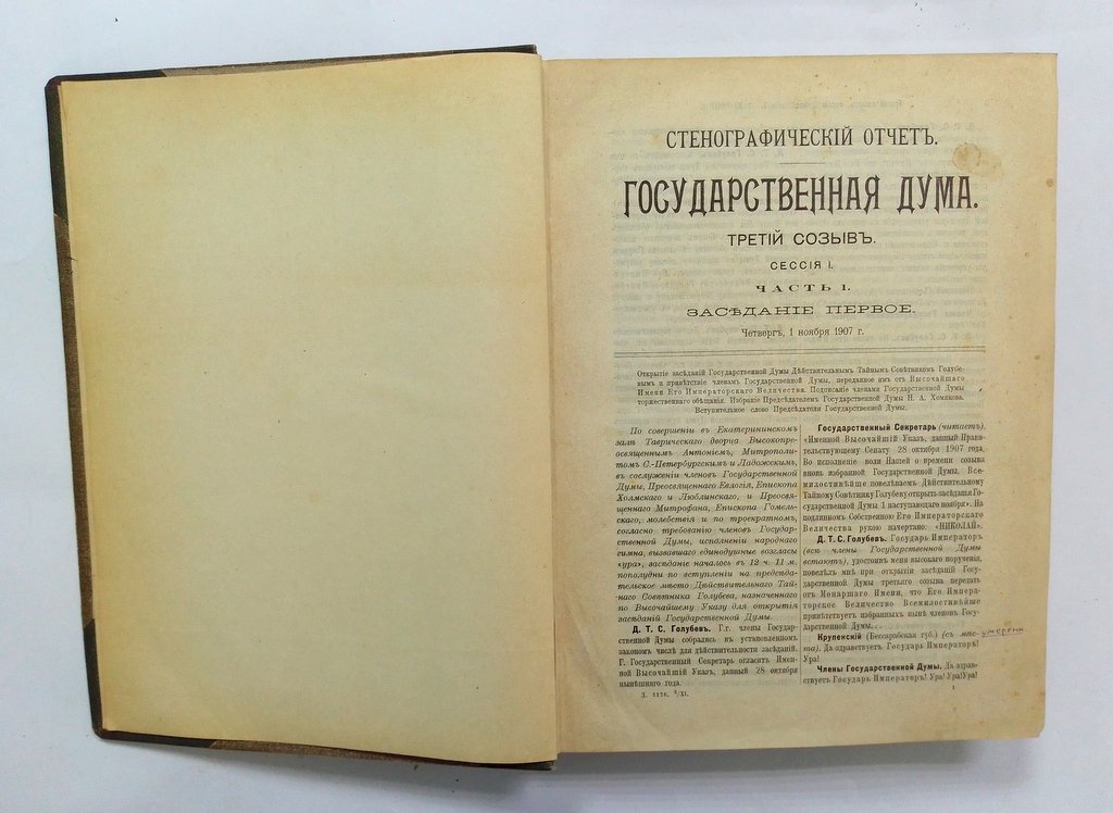 Стенографический отчет.
