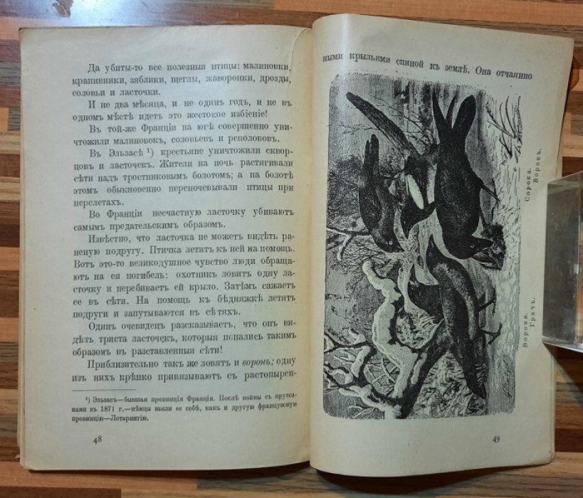 Лавров М. Прежде и теперь.