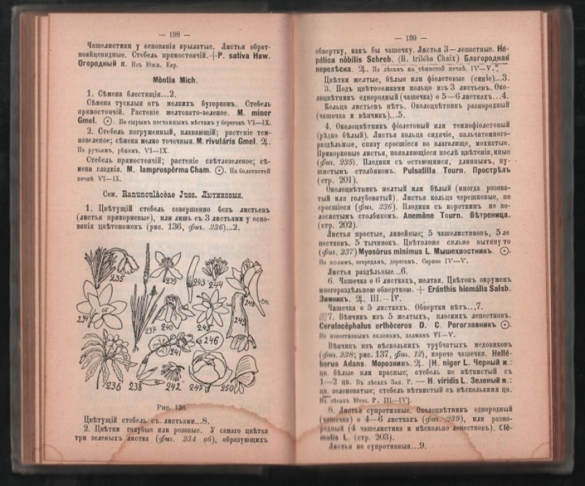 Ростовцев С. Определитель растений для школ и самообразования. Часть I. [Прижизненное издание].