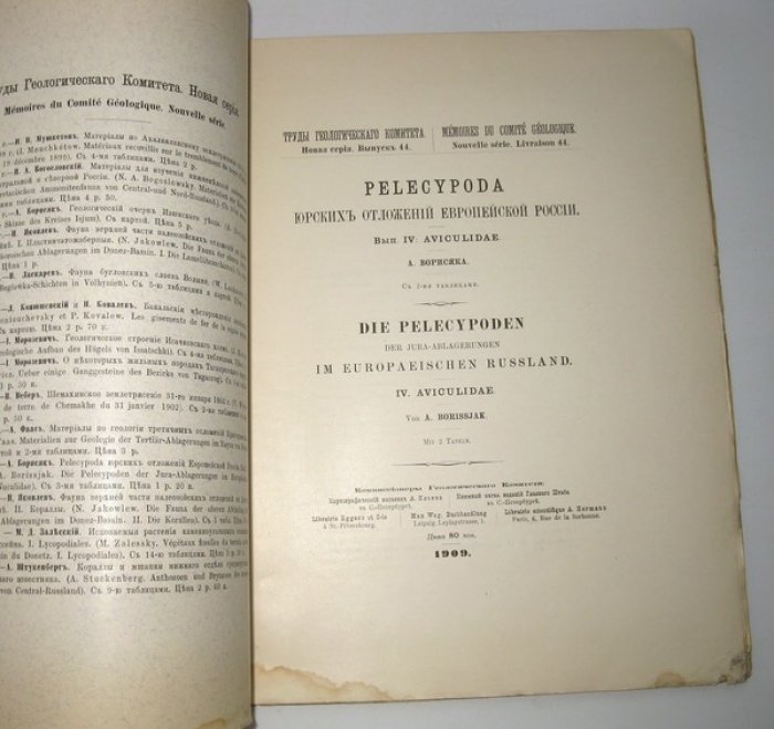 Борисяк А. Pelecypoda юрских отложений Европейской России. Вып. IV: Aviculidae. С 2-мя таблицами.