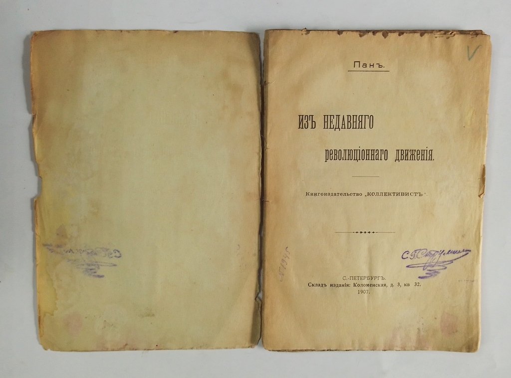 Пан. Из недавнего революционного движения.