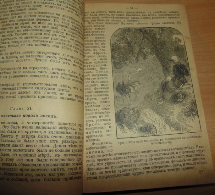 Майн Рид. Собрание сочинений. Приключения молодых буров.
