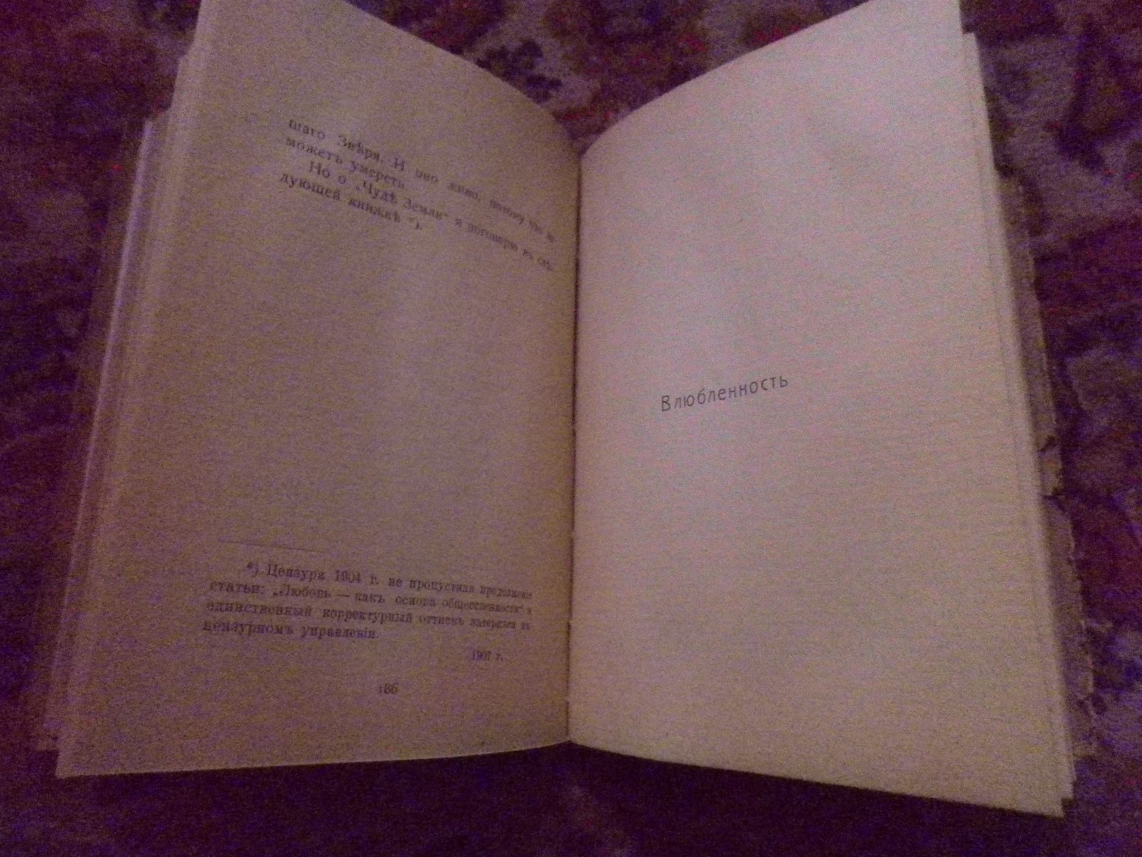 Антон Крайний (З. Гиппиус) Литературный дневник (1899-1907).