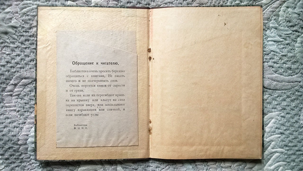 Быков А.Н. Два могущественных средства борьбы рабочих с предпринимателями: бойкот и лебель.
