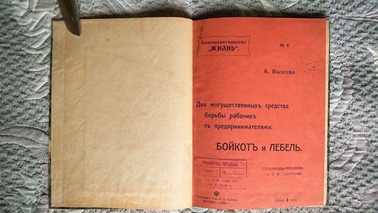 Быков А.Н. Два могущественных средства борьбы рабочих с предпринимателями: бойкот и лебель.