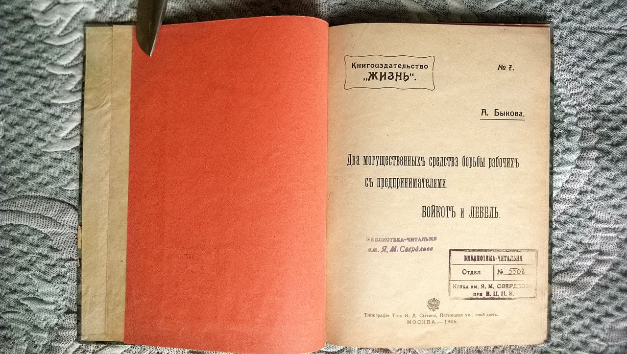 Быков А.Н. Два могущественных средства борьбы рабочих с предпринимателями: бойкот и лебель.