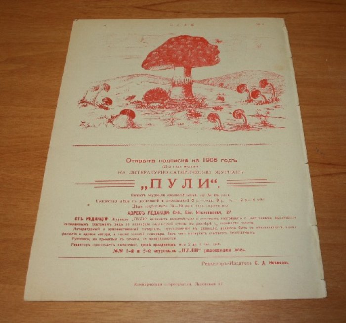 Пули. Журнал политическо-сатирический. №4. 1906 г.