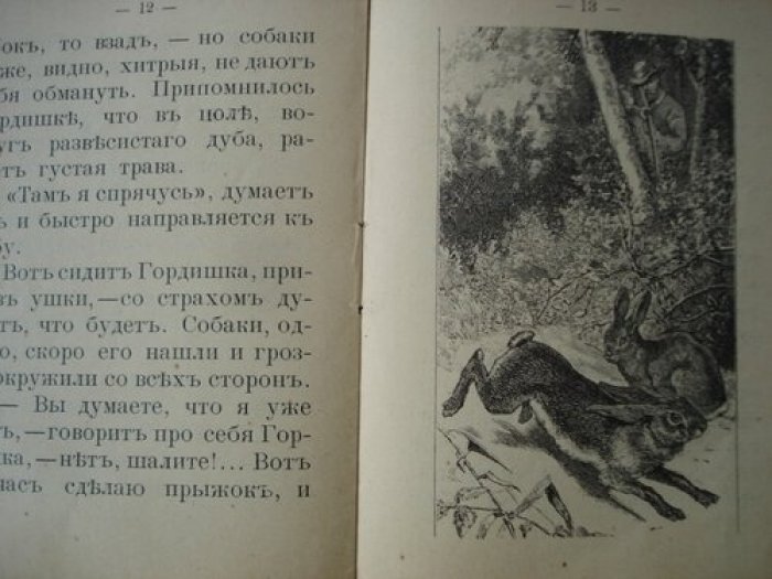 Русаков Виктор. Гордишка и трусишка.