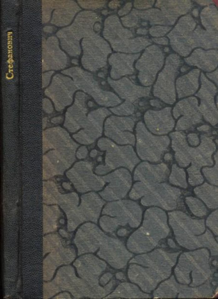 Стефанович, Я. Дневник Карийца.