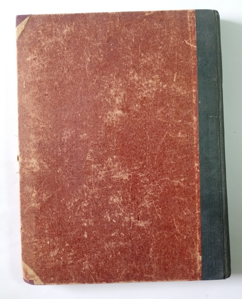 Мережковский Д. С. Пророк русской революции.