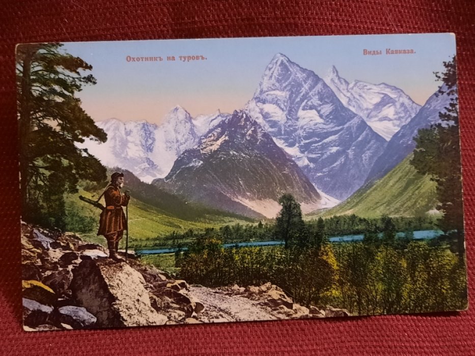 Открытка - Виды Кавказа. Охотник на туров. Цветная, чистая, Российская Империя