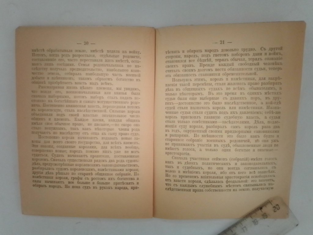 Люсня, Михаил. Суд и социализм.