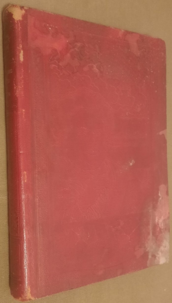 Dumas Alexandre. Oeuvres compl?tes illustr?es. Том 19.