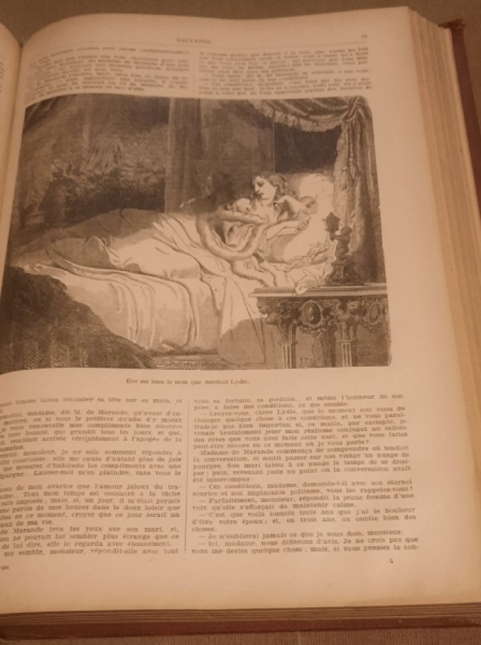 Dumas Alexandre. Oeuvres compl?tes illustr?es. Том 19.