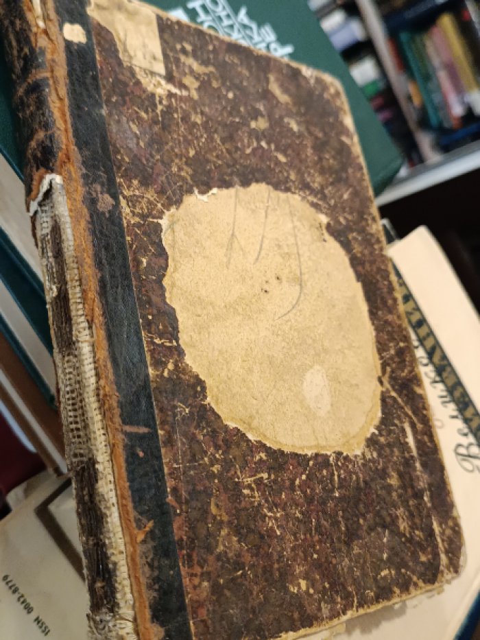 Митти, Жан де, Ребель, Гуго. Дневник лакея.