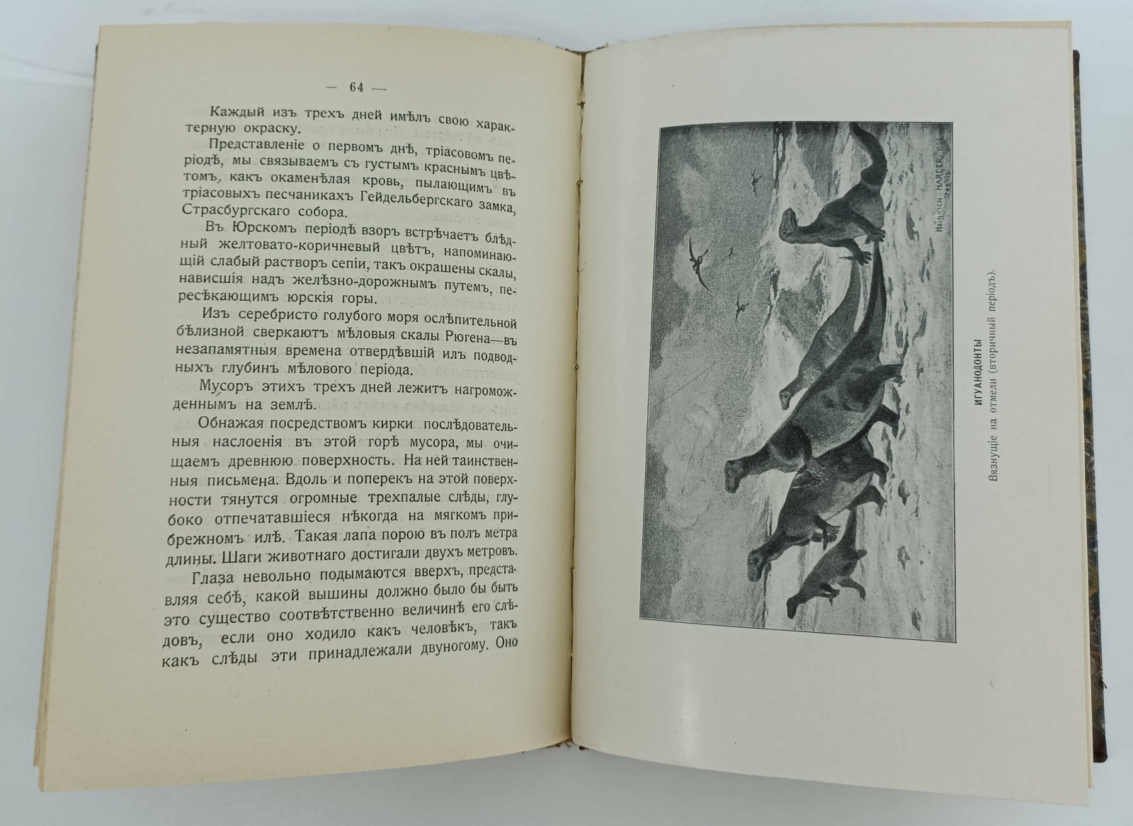Бельше В. Дни Творения. Из истории развития мира.