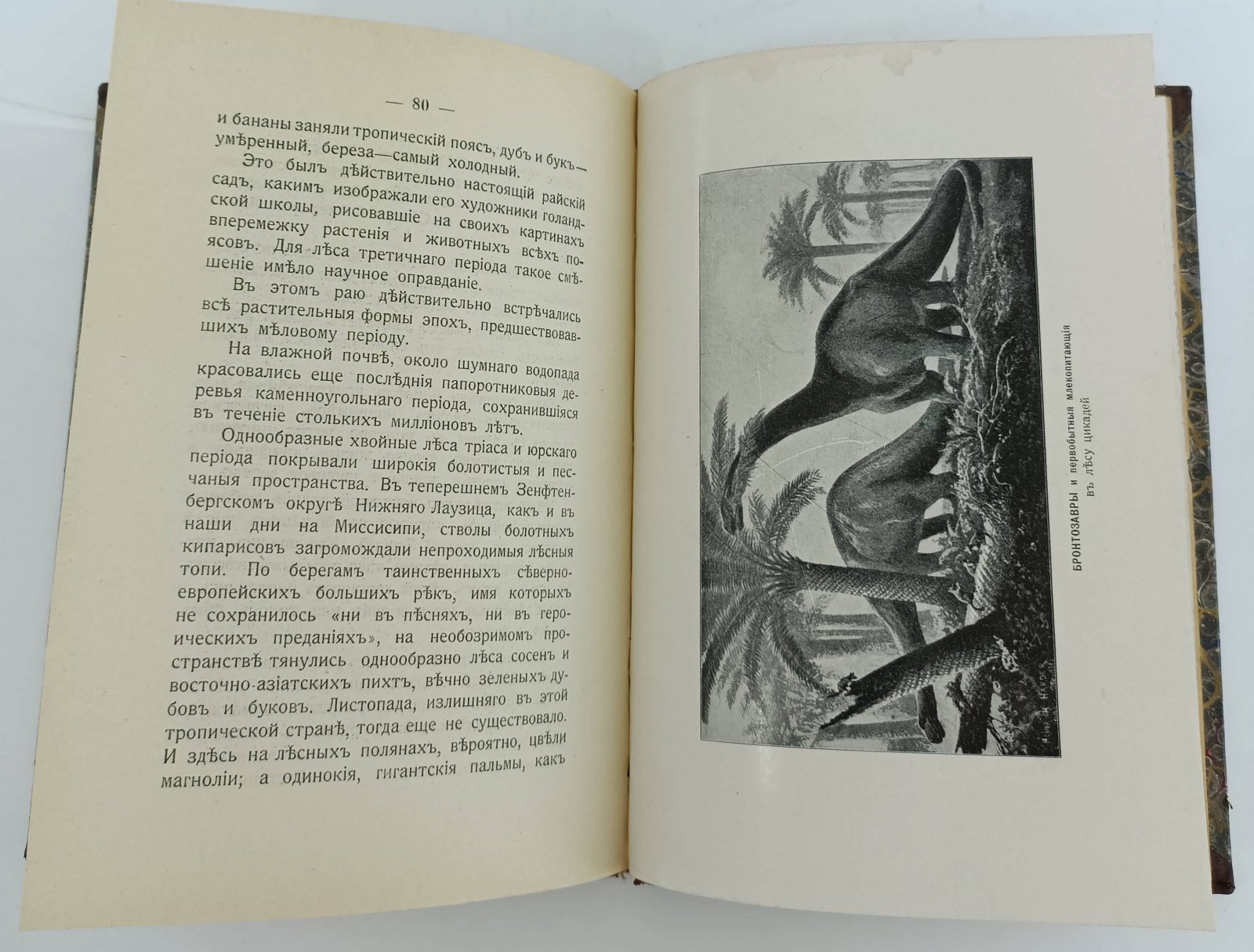 Бельше В. Дни Творения. Из истории развития мира.
