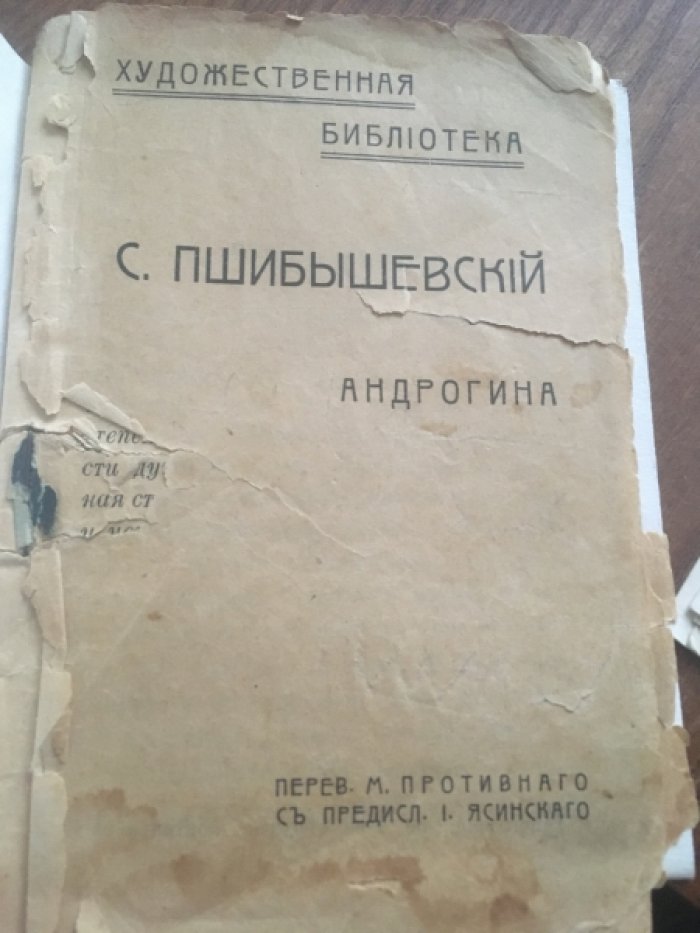 Пшибышевский С. Андрогина.