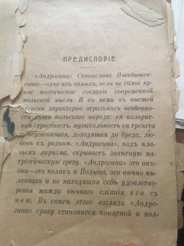 Пшибышевский С. Андрогина.