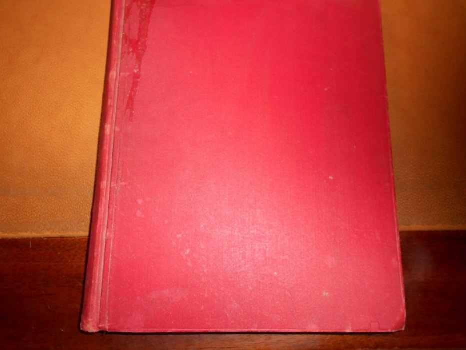 Факелы. Книга первая.