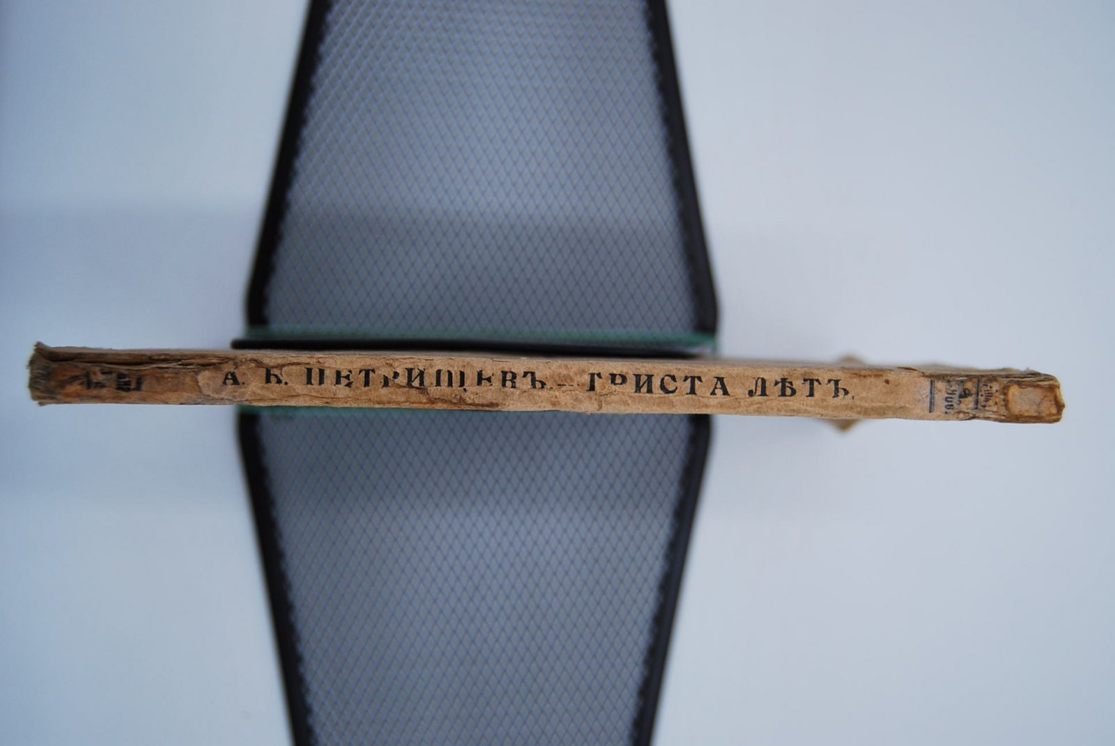 Петрищев А.Б. Триста лет (1606-1906).