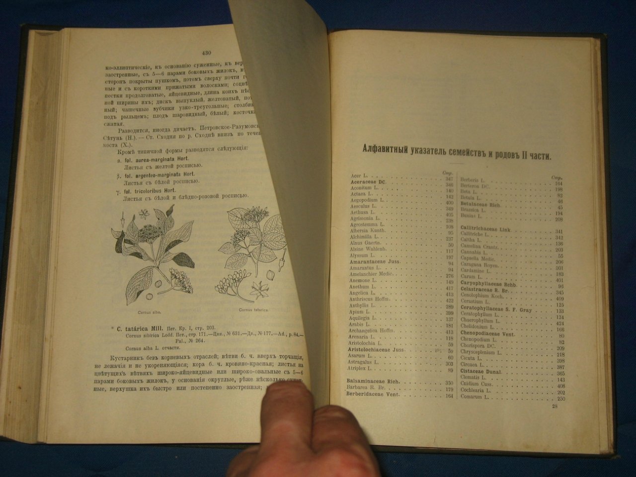 Иллюстрированная флора Московской губернии. Часть 2.