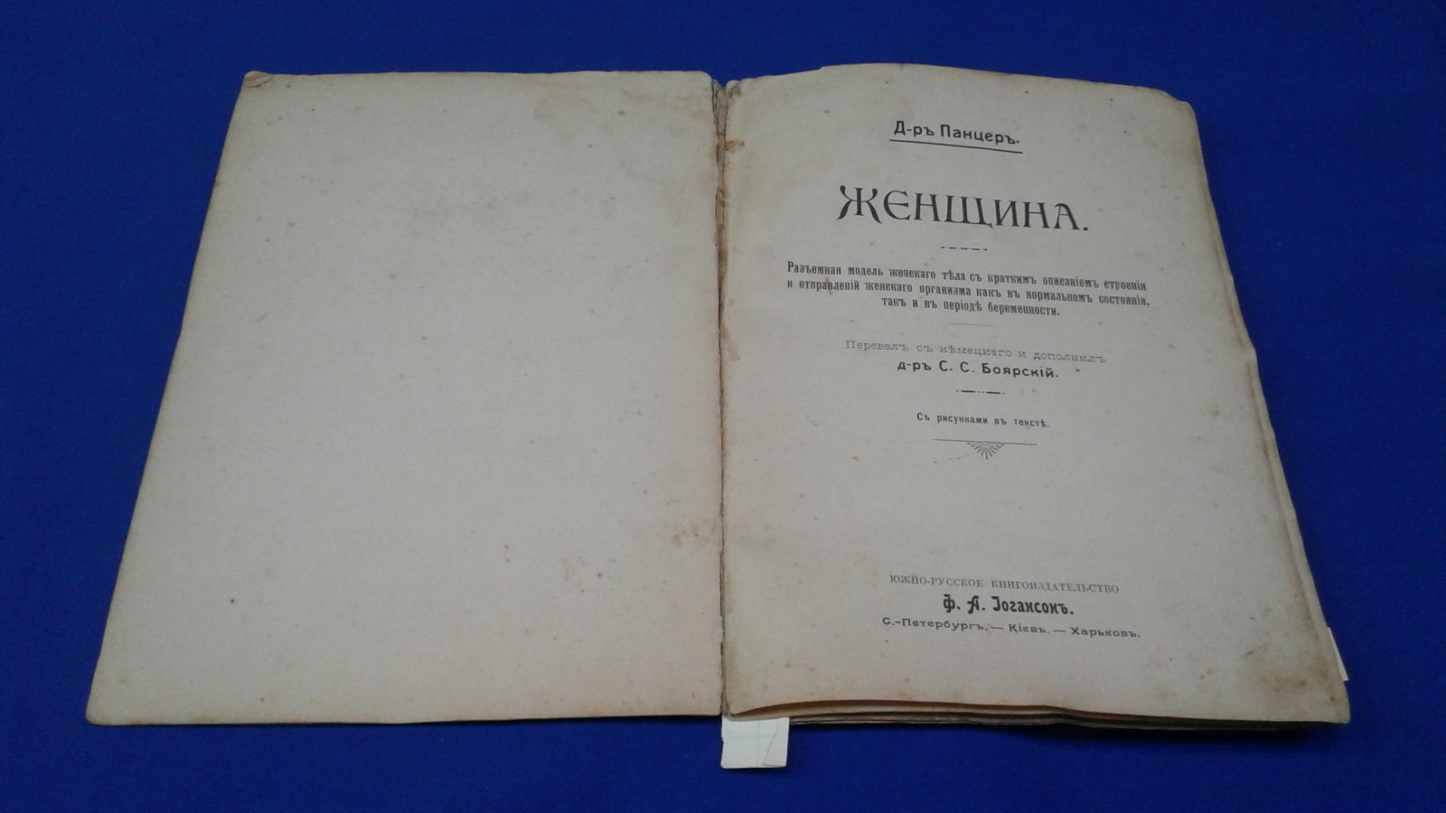 Панцер Г. Женщина. Разъемная модель.