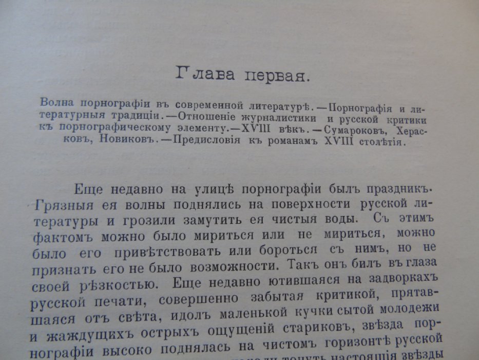 Новополин Г.С. Порнографический элемент в русской литературе.