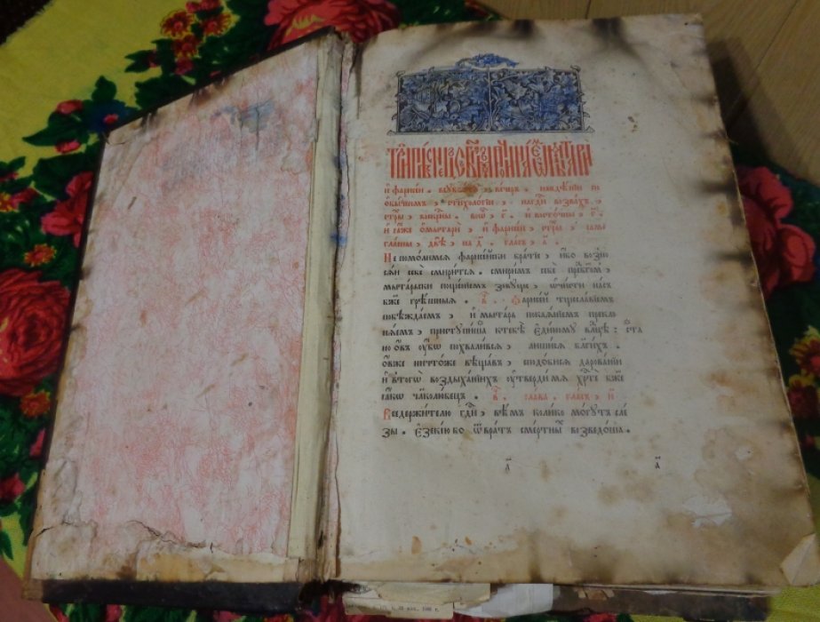 Триписнец.