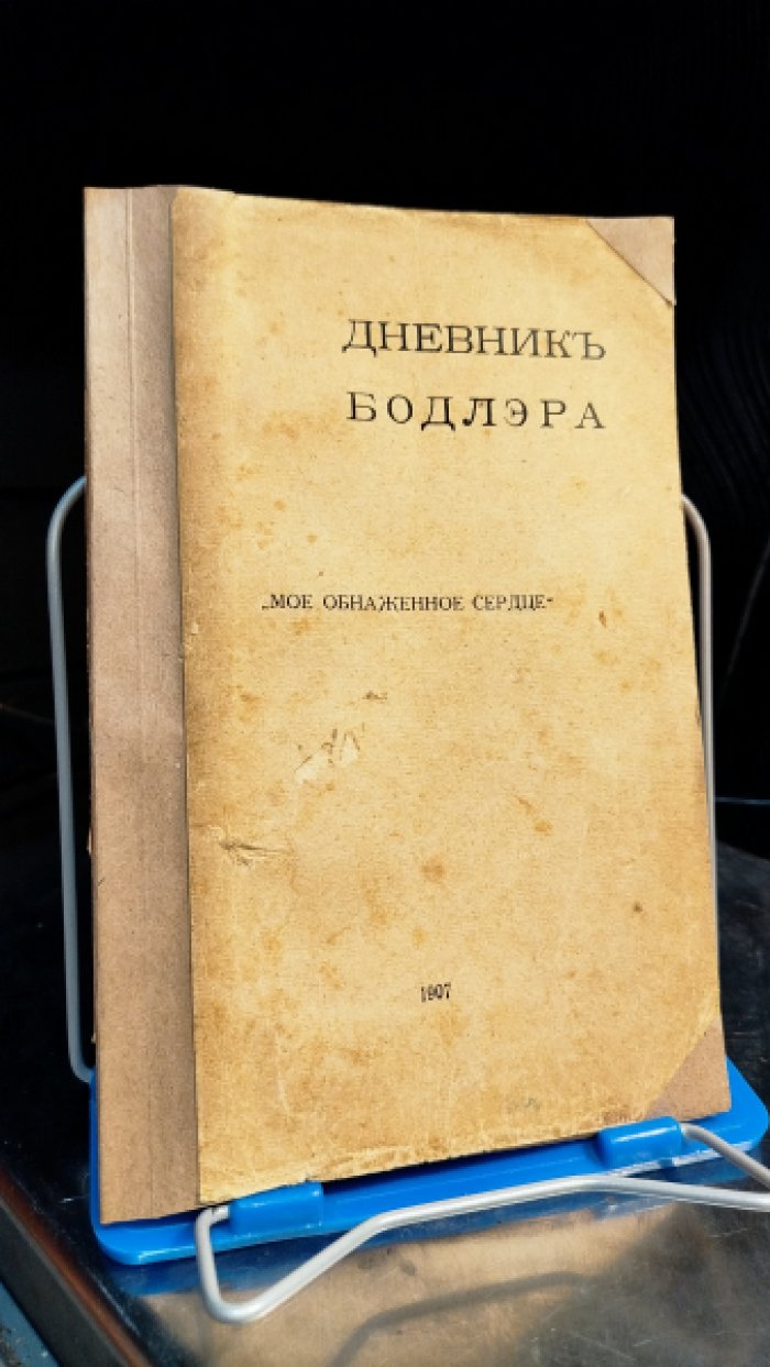 Дневник Бодлэра. Мое обнаженное сердце.