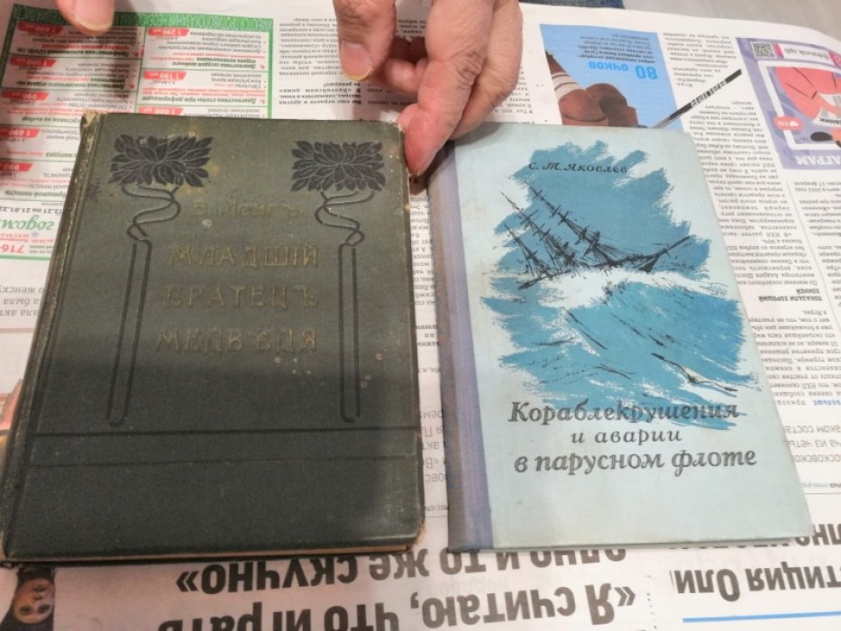 Лонг Вильям. Младший Братец Медведя. Рассказы из жизни животных