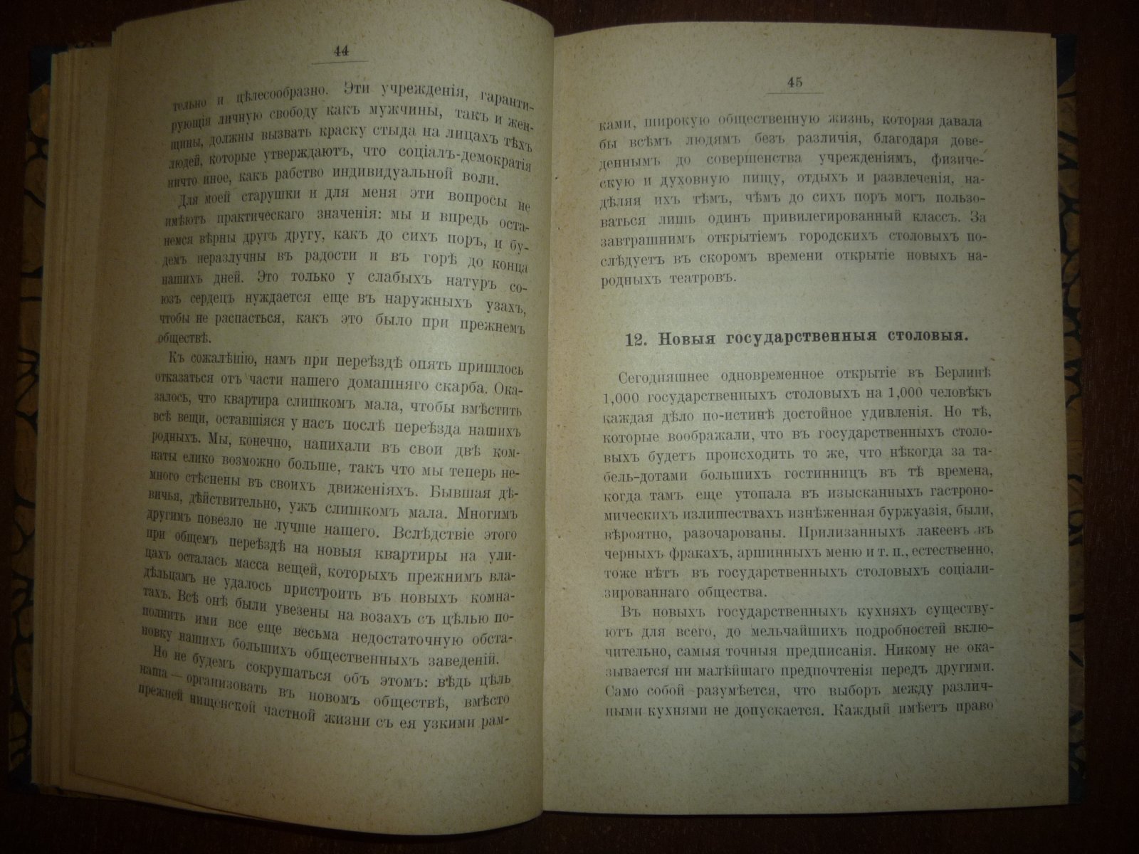 Рихтер, Евгений. Социал-демократические картинки будущего (по Бебелю).