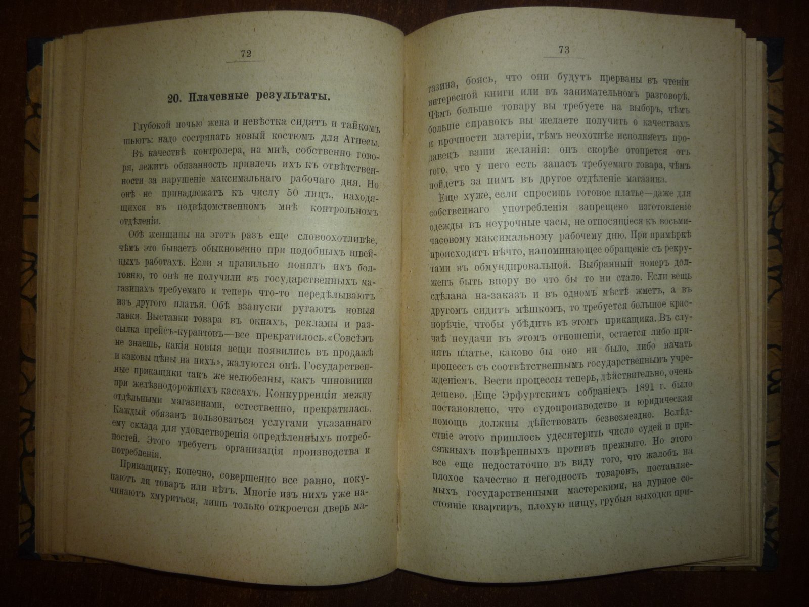 Рихтер, Евгений. Социал-демократические картинки будущего (по Бебелю).