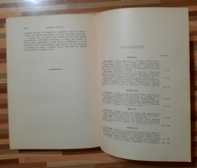 Достоевский Ф.М Полное собрание сочинений. Издание шестое. Том 11. Дневник писателя за 1876 год.