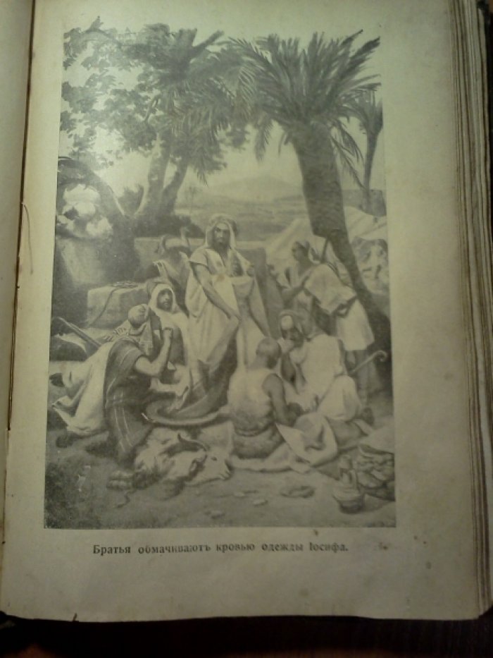 Святая юность.