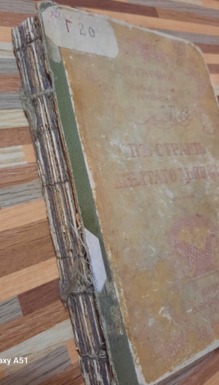 Гарин-Михайловский И. В стране желтого дьявола.